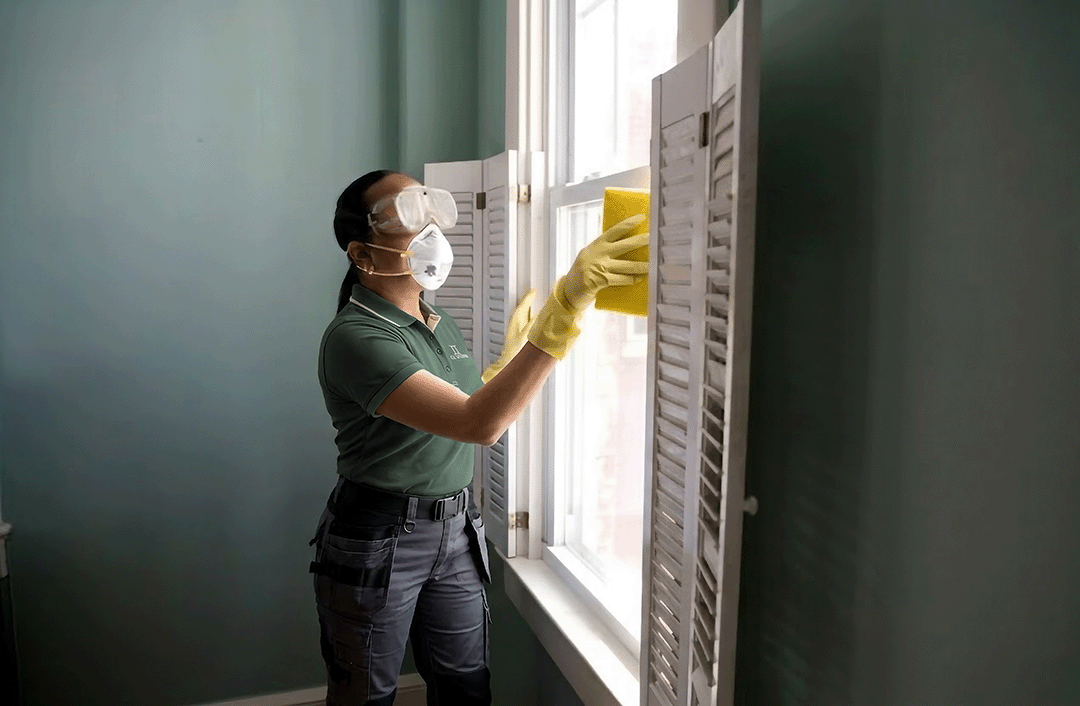 Profissional a limpar vidro interior